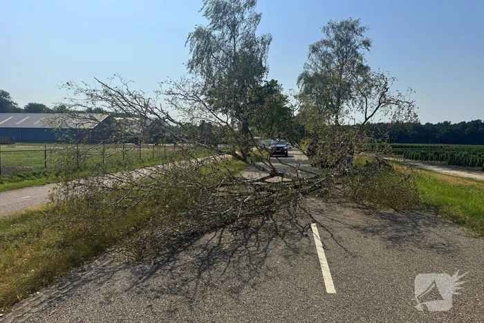 Boom blokkeert weg na storm