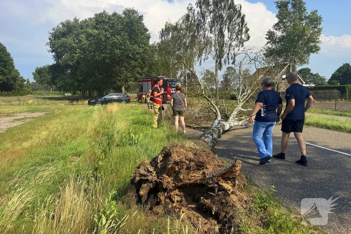 Boom blokkeert weg na storm