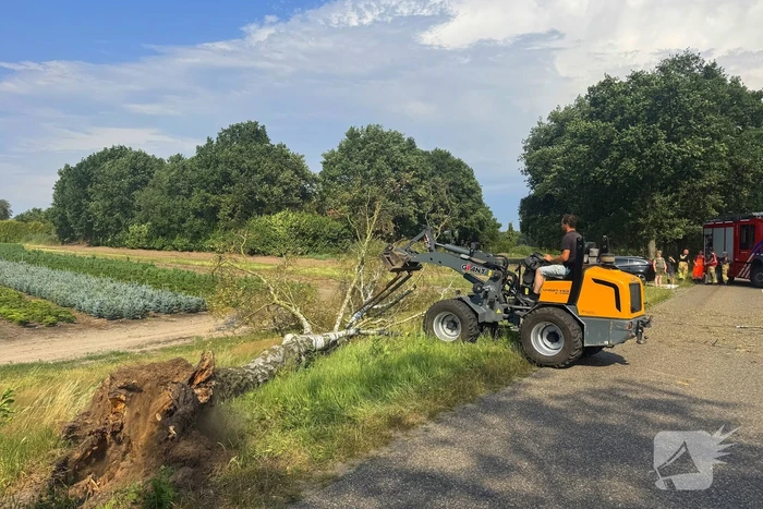 Boom blokkeert weg na storm