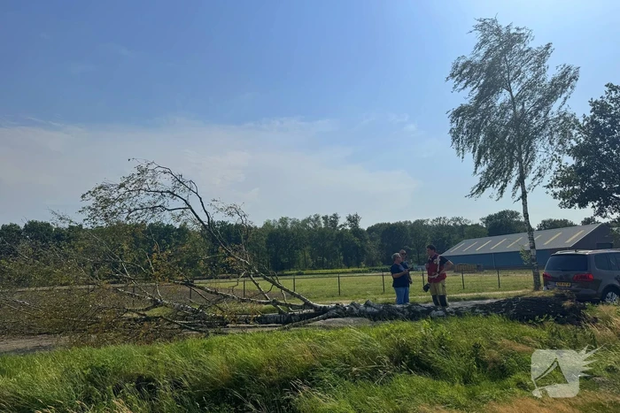 Boom blokkeert weg na storm