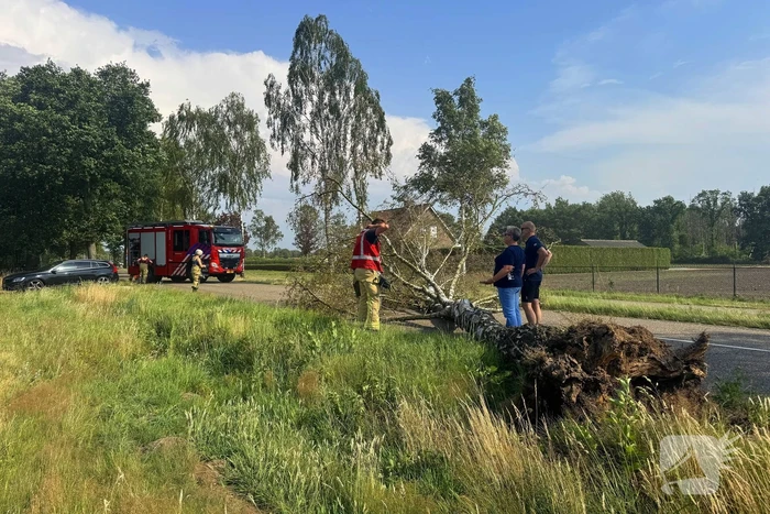 Boom blokkeert weg na storm