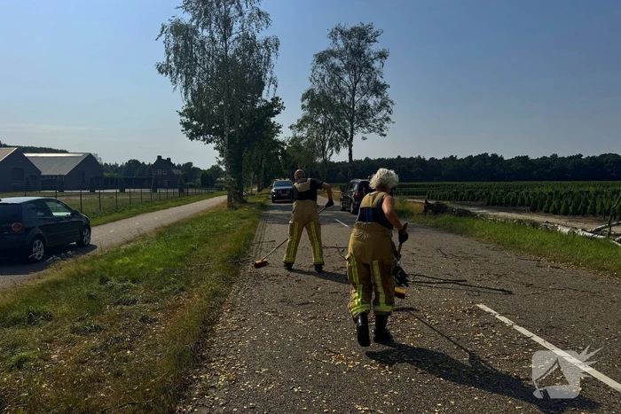 Boom blokkeert weg na storm