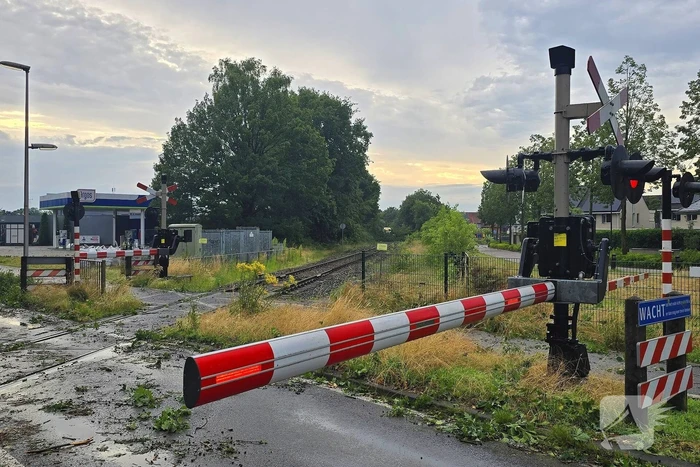 Trein stuit op boom op spoor