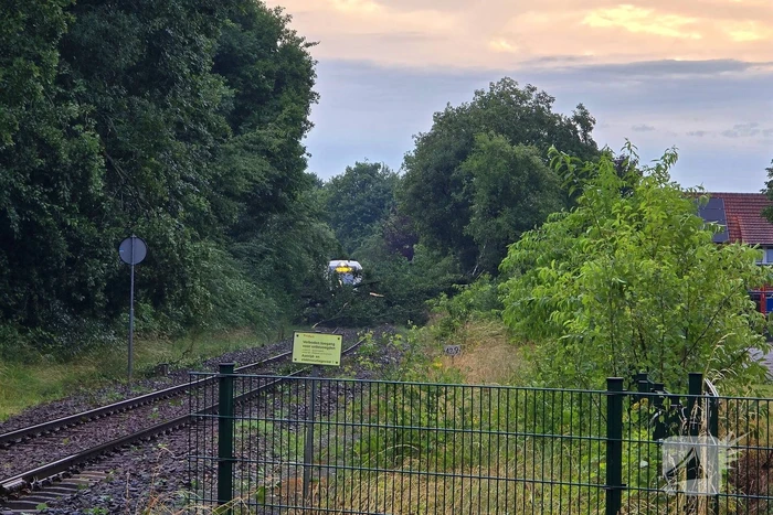 Trein stuit op boom op spoor