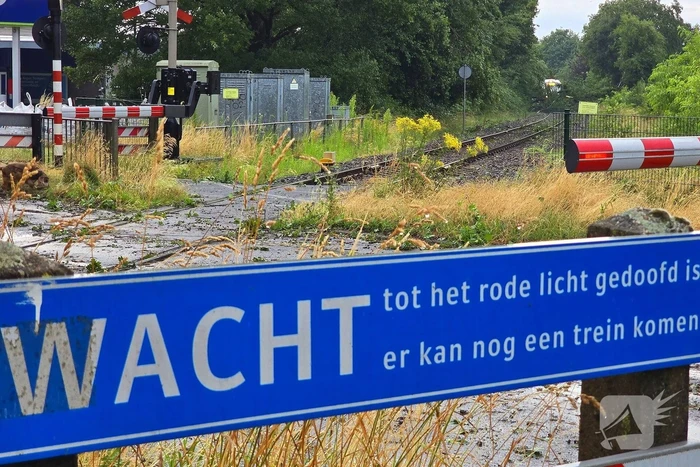 Trein stuit op boom op spoor