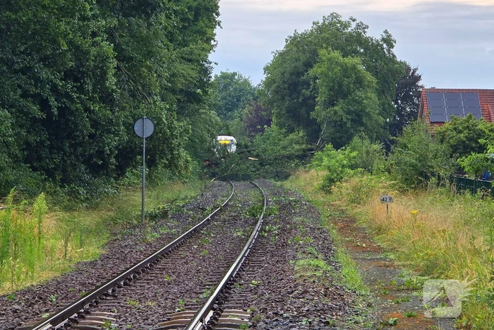 natuur tuunterstraat winterswijk