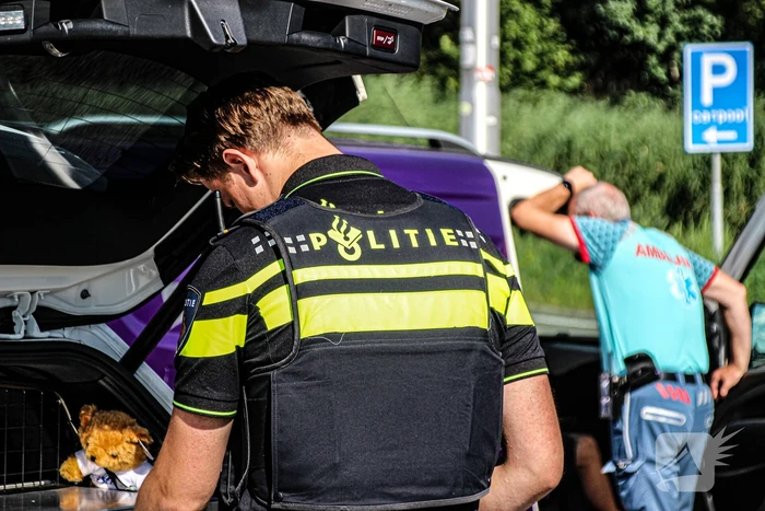 Voertuigen komen in botsing, geen gewonden