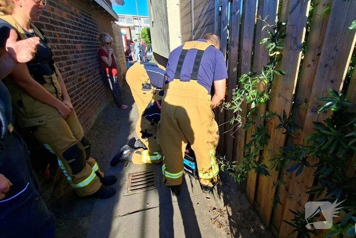 Brandweer bevrijdt kat