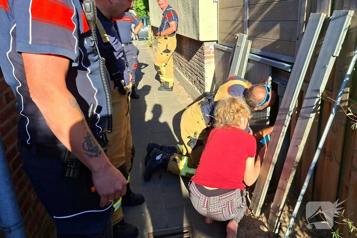 Brandweer bevrijdt kat