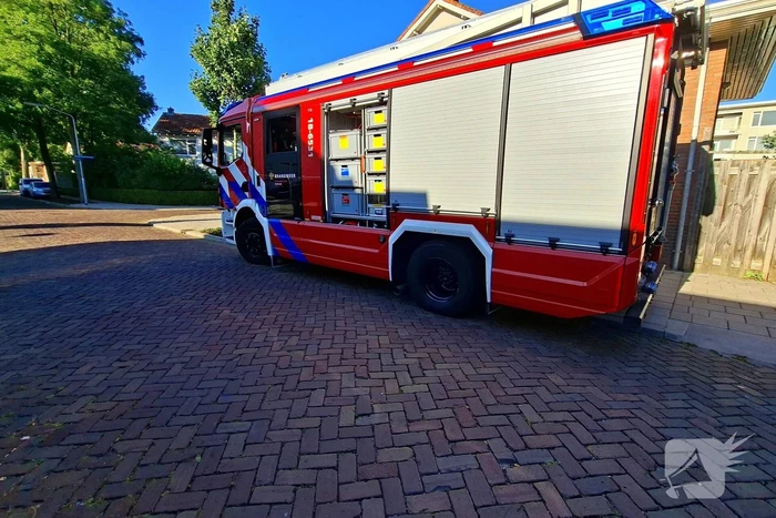 Brandweer bevrijdt kat