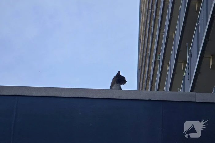 nieuws treubstraat katwijk