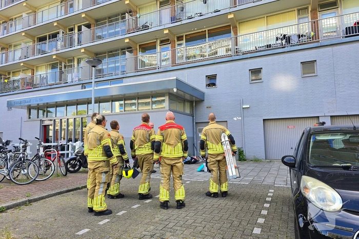 Spannend avontuur voor kat