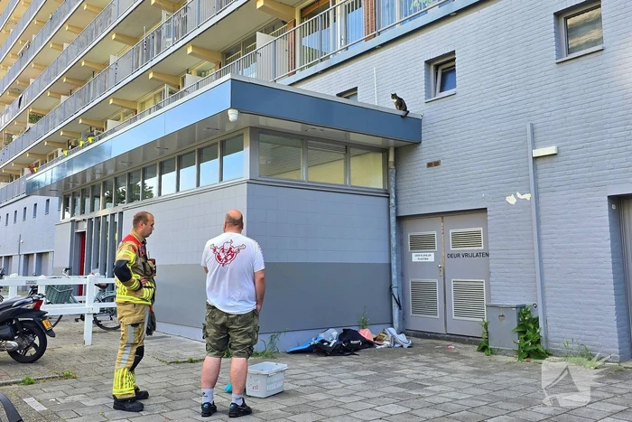 Spannend avontuur voor kat