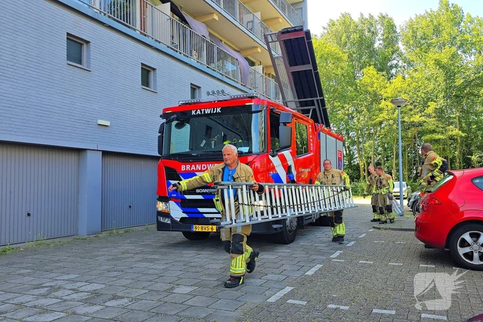 Spannend avontuur voor kat
