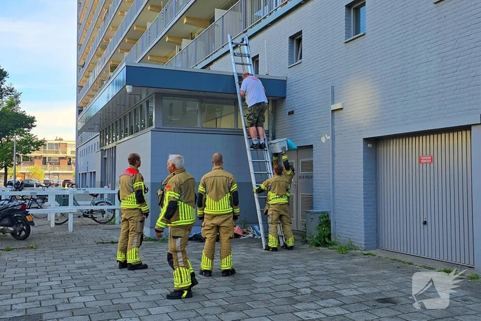 Spannend avontuur voor kat