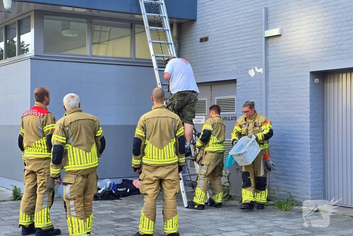 Spannend avontuur voor kat