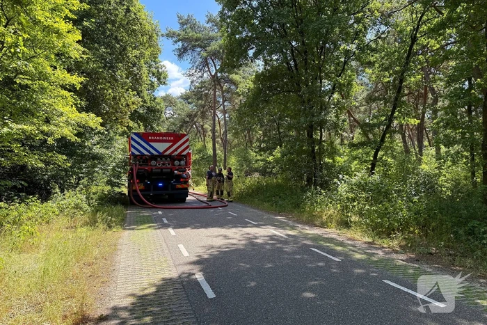 Brandweer bestrijdt natuurbrand