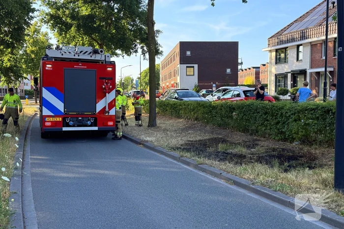 Brand in berm en struikgewas onder controle
