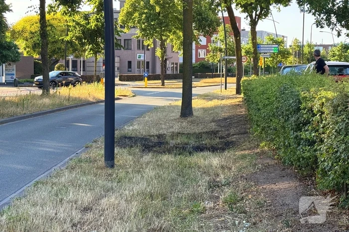 Brand in berm en struikgewas onder controle