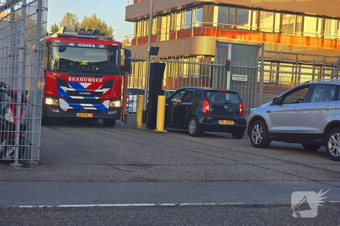 nieuws nieuwe gouwe o.z. gouda