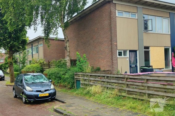 Gewonde na steekincident