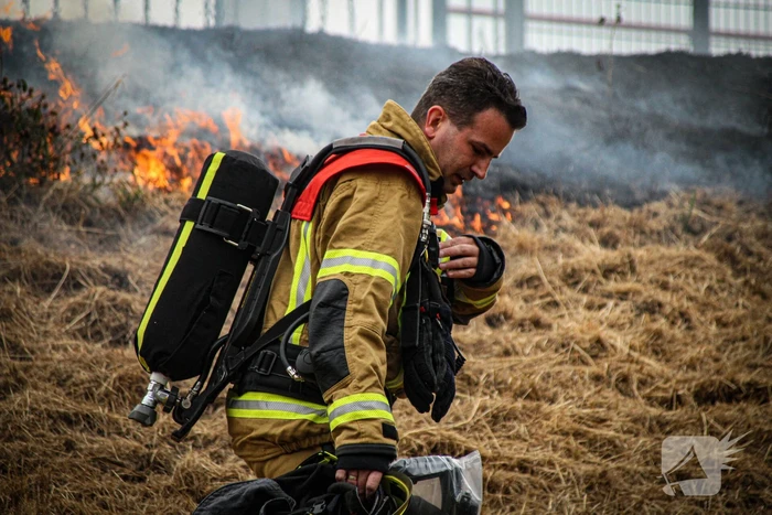 Treinverkeer plat door bermbrand bij station