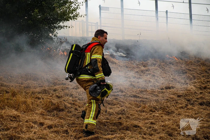 Treinverkeer plat door bermbrand bij station