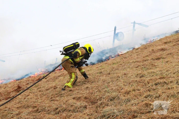 Treinverkeer plat door bermbrand bij station