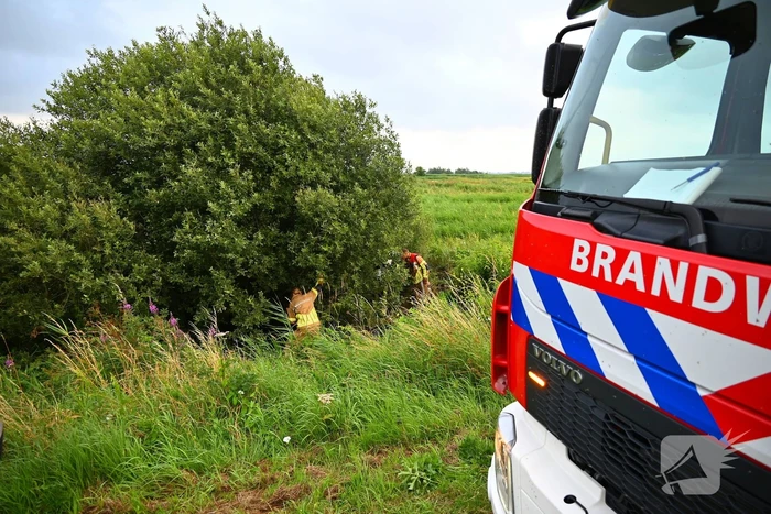 Rietbrand vroeg in de ochtend