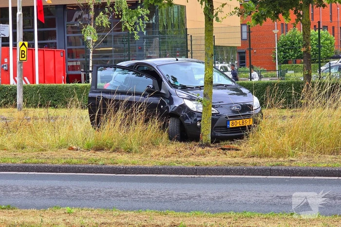 Bestuurder zwaargewond na aanrijding met boom