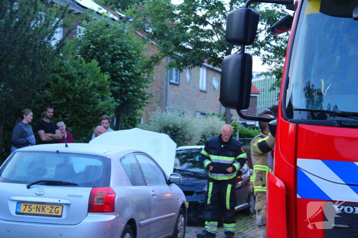 Voertuigbrand snel geblust