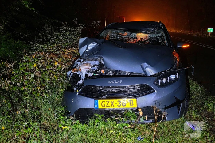 Automobiliste botst op afgebroken tak