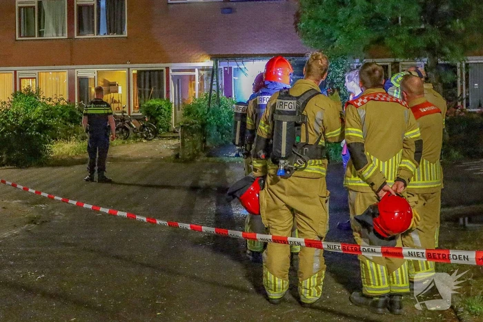 nieuws wintergroen huizen