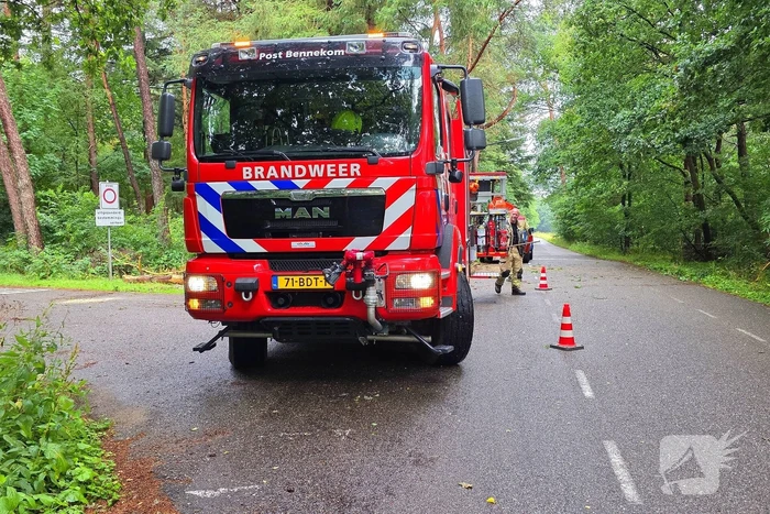 natuur dikkenbergweg bennekom