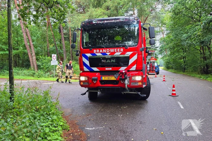 Boom veroorzaakt hinder na storm