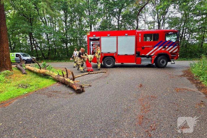 Boom veroorzaakt hinder na storm