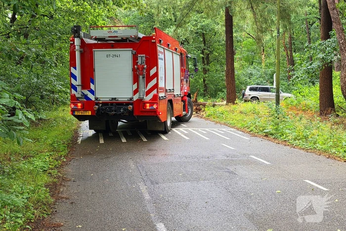 Boom veroorzaakt hinder na storm
