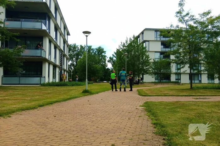brand scheldestraat arnhem
