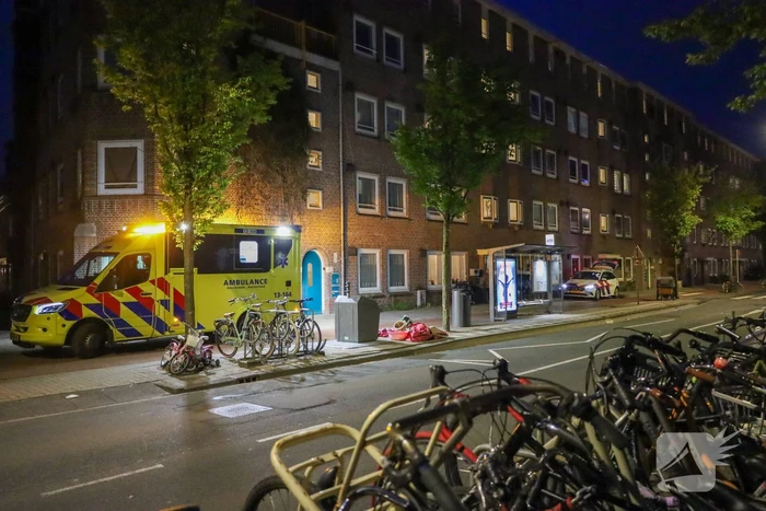 Steekincident leidt tot lichtgewonde