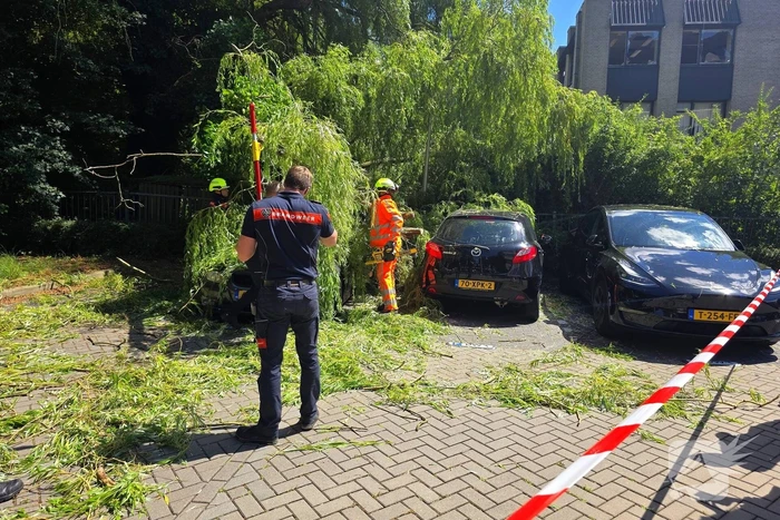 Drie auto's beschadigd door omvallende boom