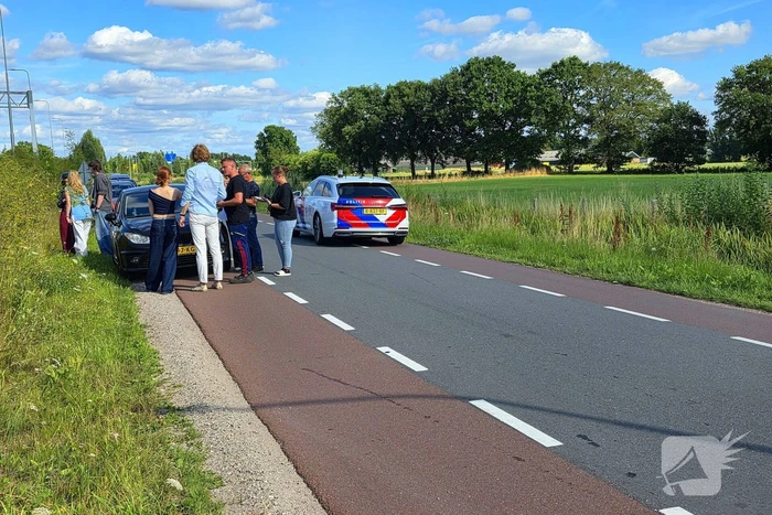 Hond aangereden door automobilist op snelweg