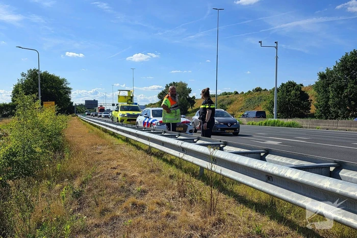 Hond aangereden door automobilist op snelweg
