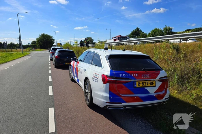 Hond aangereden door automobilist op snelweg