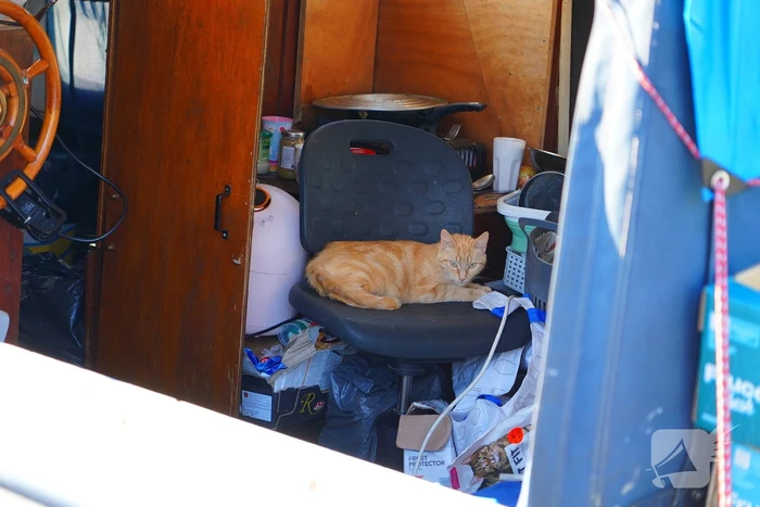 Brandweer onderzoekt geur, zorgen om welzijn dieren