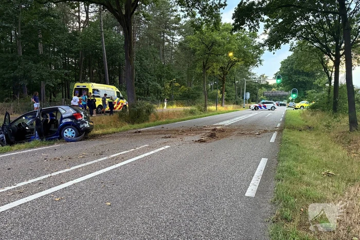Auto verliest controle en botst in berm