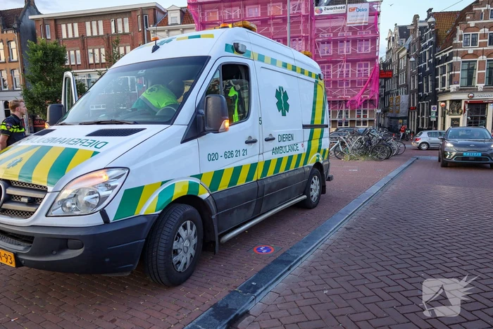 Explosie in koffieshop leidt tot brand