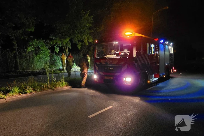 Vuurwerk veroorzaakt brand in berm