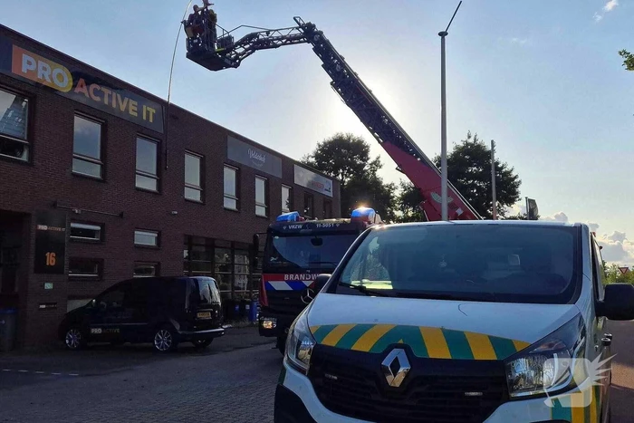 Brandweer bevrijdt vogel uit vlieger