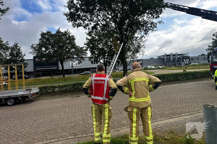 Dier in nood gered met ladderwagen