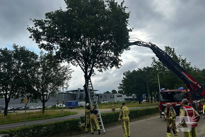 Dier in nood gered met ladderwagen